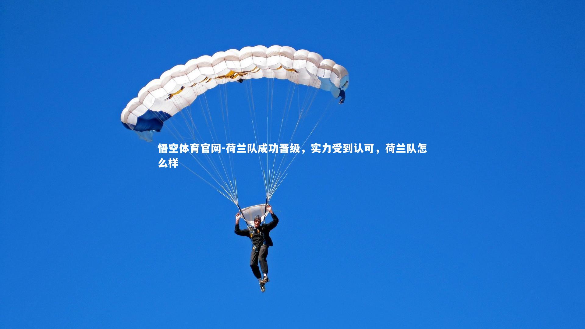 悟空体育官网-荷兰队成功晋级，实力受到认可，荷兰队怎么样